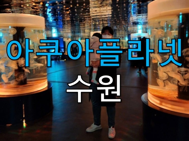 수원 아쿠아리움 아쿠아플라넷 16개월 아기랑 수원 아쿠아리움 아쿠아플라넷 16개월 아기랑