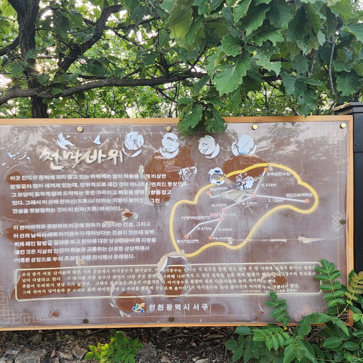  인천  서구 천마산 에 올라가 보았어요~