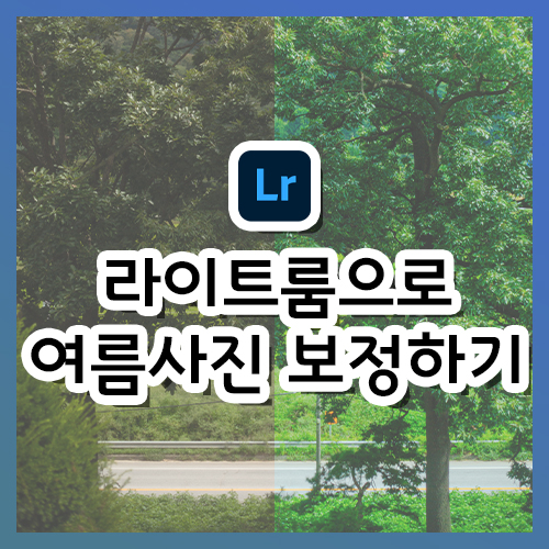  [라이트룸 강의] 여름 감성 사진 보정하기