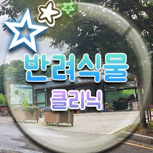  게발 선인장 키우기! 양천 도시농업공원, 교육센터 반려식물 클리닉