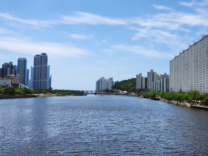 수영강 휴먼브릿지 건설 현장(수영현대아파트, 수영협성르네상스) : 네이버 블로그