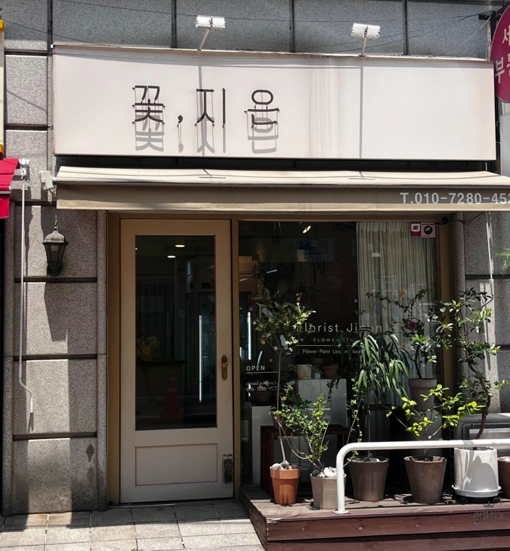 [신논현] 반포 꽃집 꽃지은 개업 화분 구매 후기