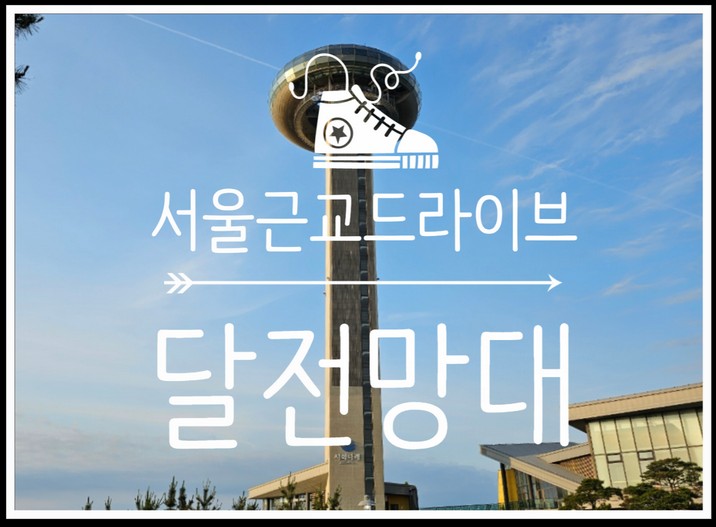 자유롭게 달리는 서울근교드라이브, 당신을 위한 완벽한 휴식 여행