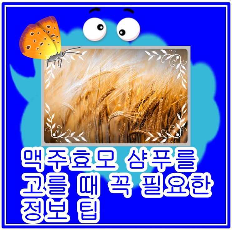  맥주효모 샴푸를 고를 때 꼭 필요한 정보 팁(제품광고 아님)