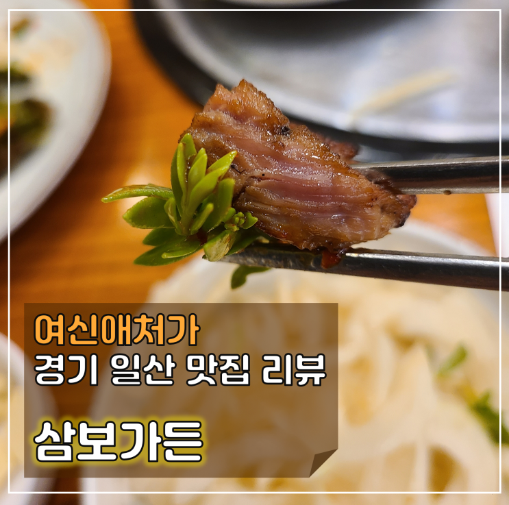  육즙 대박, 한입에 반한 장항동 맛집, 삼보가든