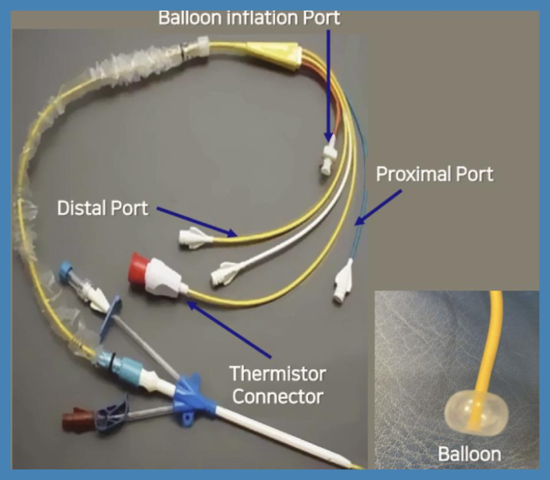 Hemodynamic monitoring by Swan Ganz catheter : 네이버 블로그
