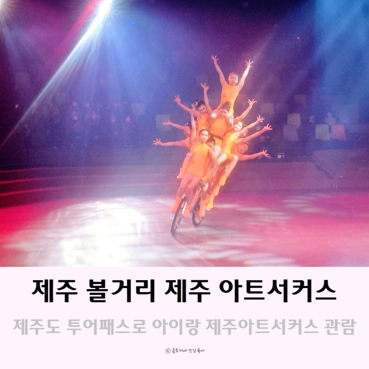 제주도 투어 패스로 아이랑 볼거리 제주아트서커스 제주도 투어 패스로 아이랑 볼거리 제주아트서커스