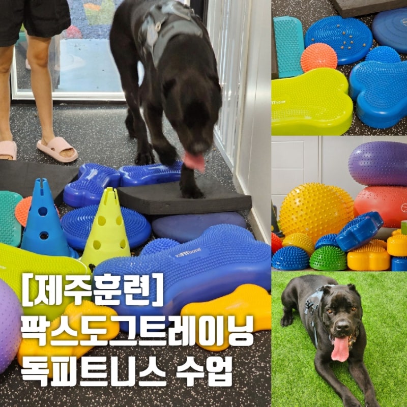 사진 3