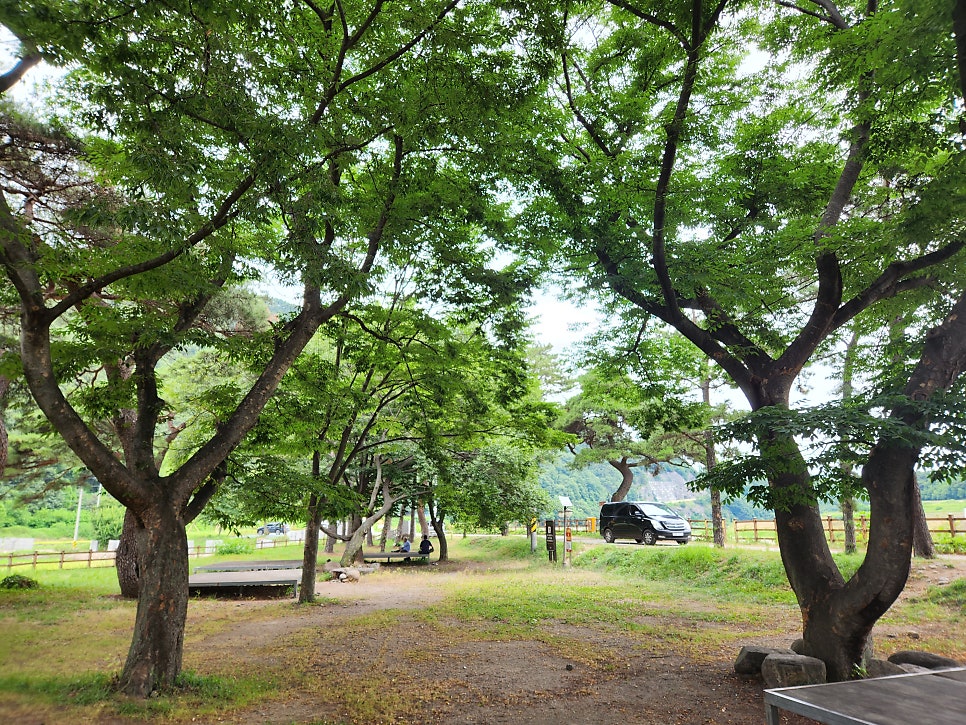 견불동산장 사진 6