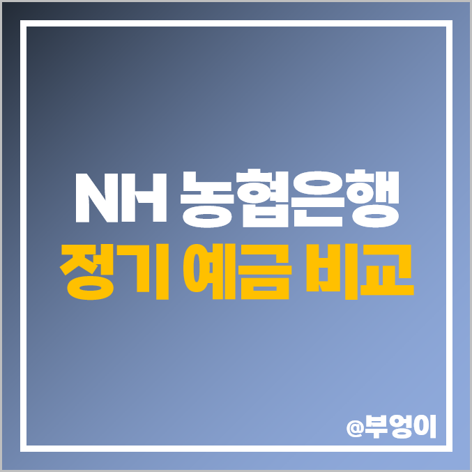 NH 농협 은행 정기 예금 금리 비교, 이자 높은 고금리 특판, 단기 이율