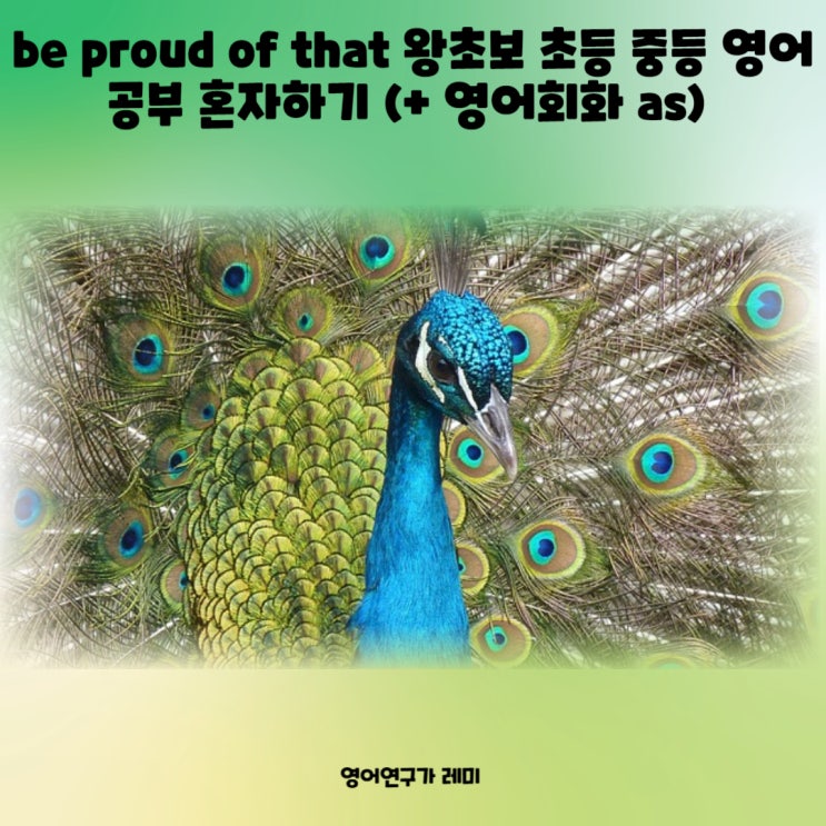 be proud of that 왕초보 초등 중등 영어공부 혼자하기 (+ 영어회화 as)