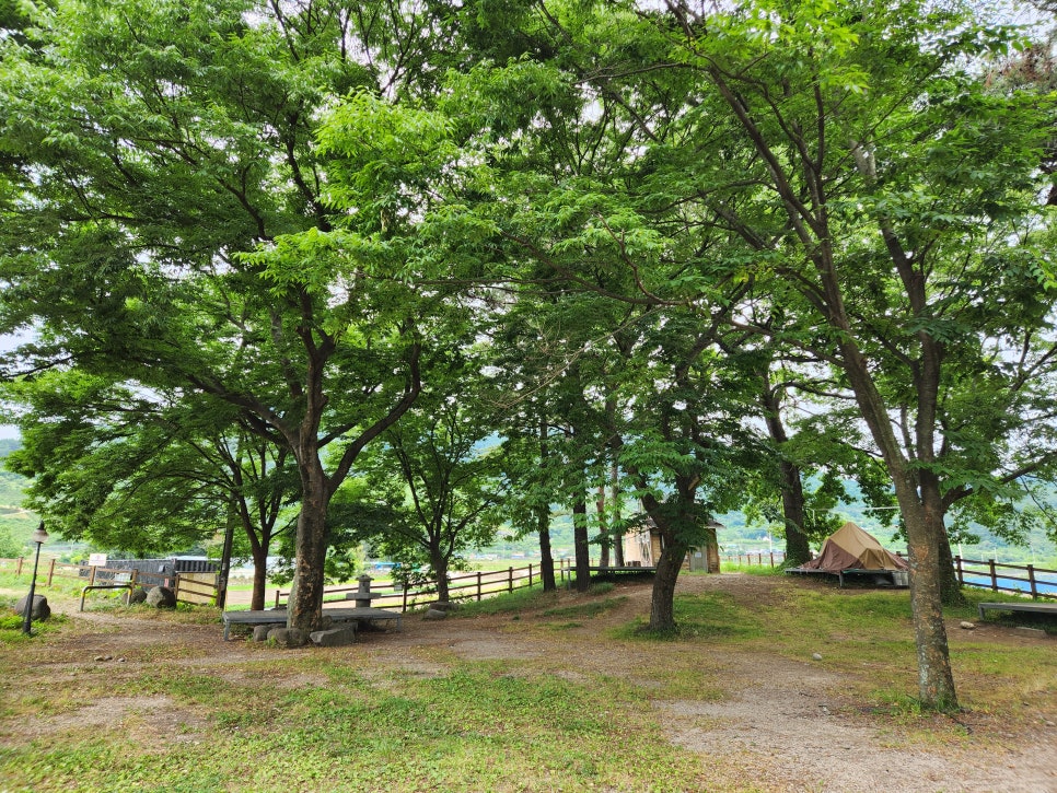 견불동산장 사진 2