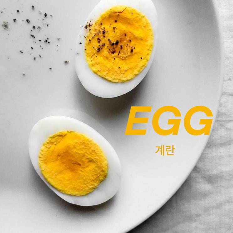  계란 단백질 함량, 건강하게 먹는 방법은 뭘까?