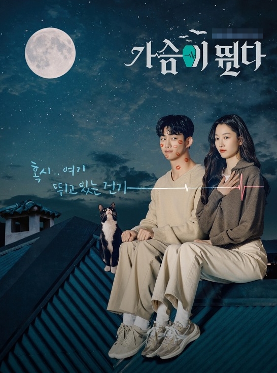 홍김동전 이번주 드레스코드 홍김동전 이번주 드레스코드