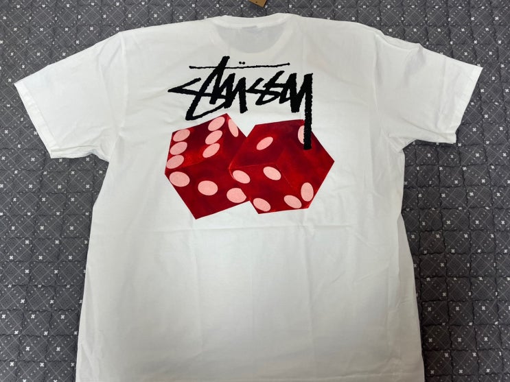 스투시 다이스 아웃 티셔츠 화이트 리뷰(Stussy Diced Out T-Shirt White)-1904971