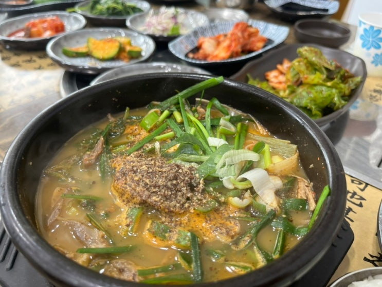  [화암동 식당] 힘이 난다 힘! 대전흑염소맛집 미소가득 흑염소전문점