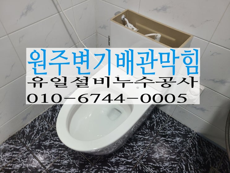  원주변기막힘 명륜동3층주택 변기2개가 안내려가요!!