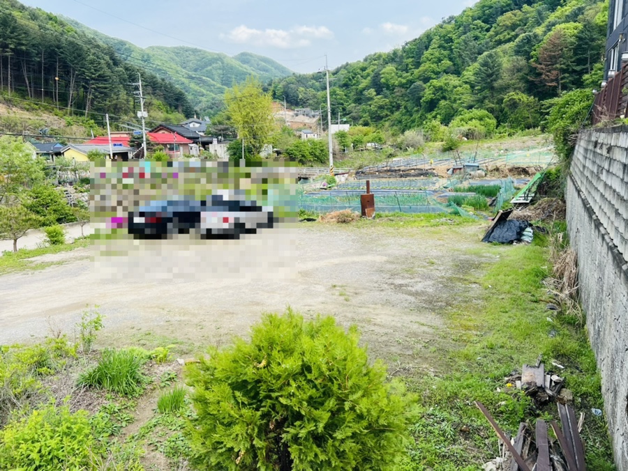 테이트펜션 사진 3