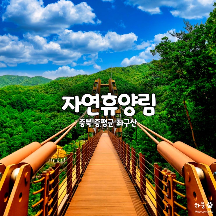  충북 증평가볼만한곳 좌구산 자연휴양림 명상구름다리