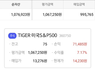  [연금저축펀드] 6월 Tiger 미국 S&P 500 매수