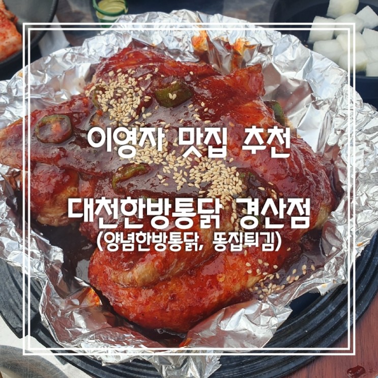 이영자 소화제 맛집_경산 맛집 대천한방통닭