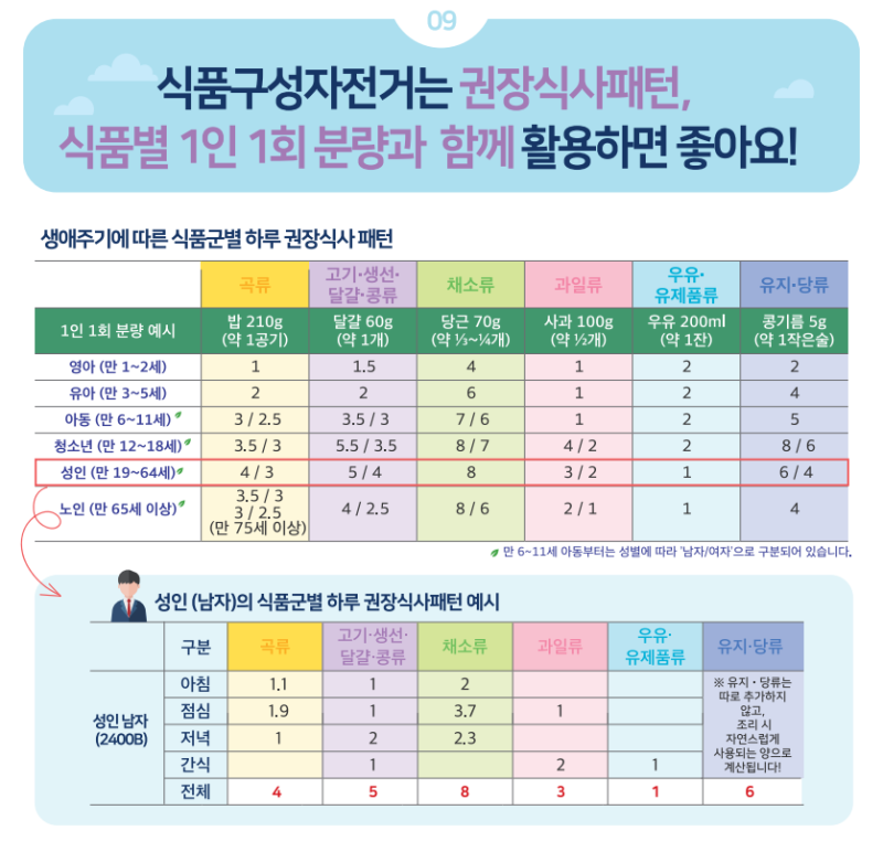 2020 한국인 영양소 섭취기준 식품구성자전거 : 네이버 블로그