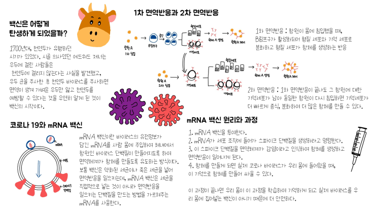  생명과학1 인포그래픽 작품2 입니다.