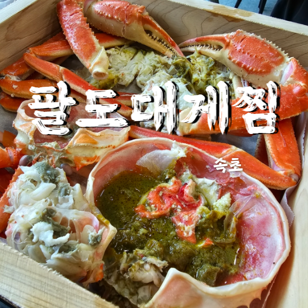  강원도 끝까지 식지 않고 먹을 수 있는 속초대게 맛집 팔도대게찜
