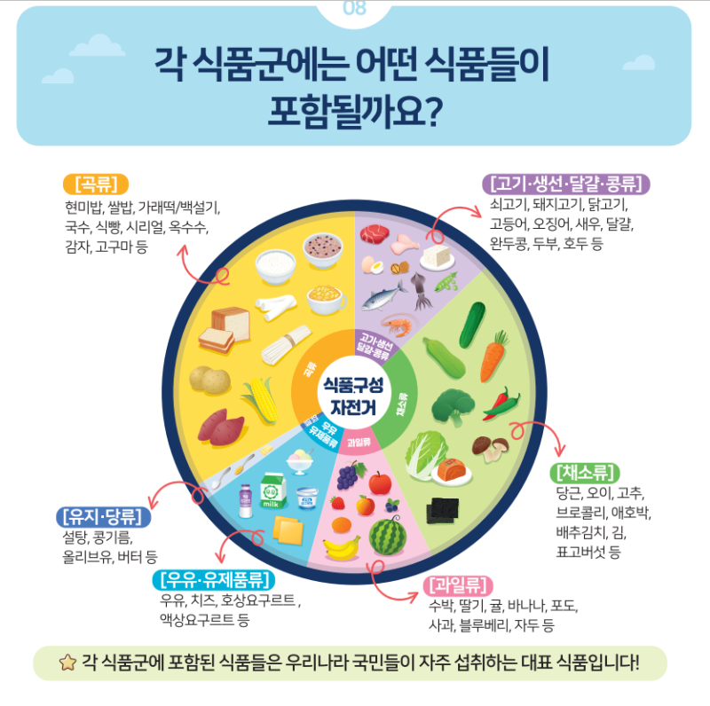 2020 한국인 영양소 섭취기준 식품구성자전거 : 네이버 블로그