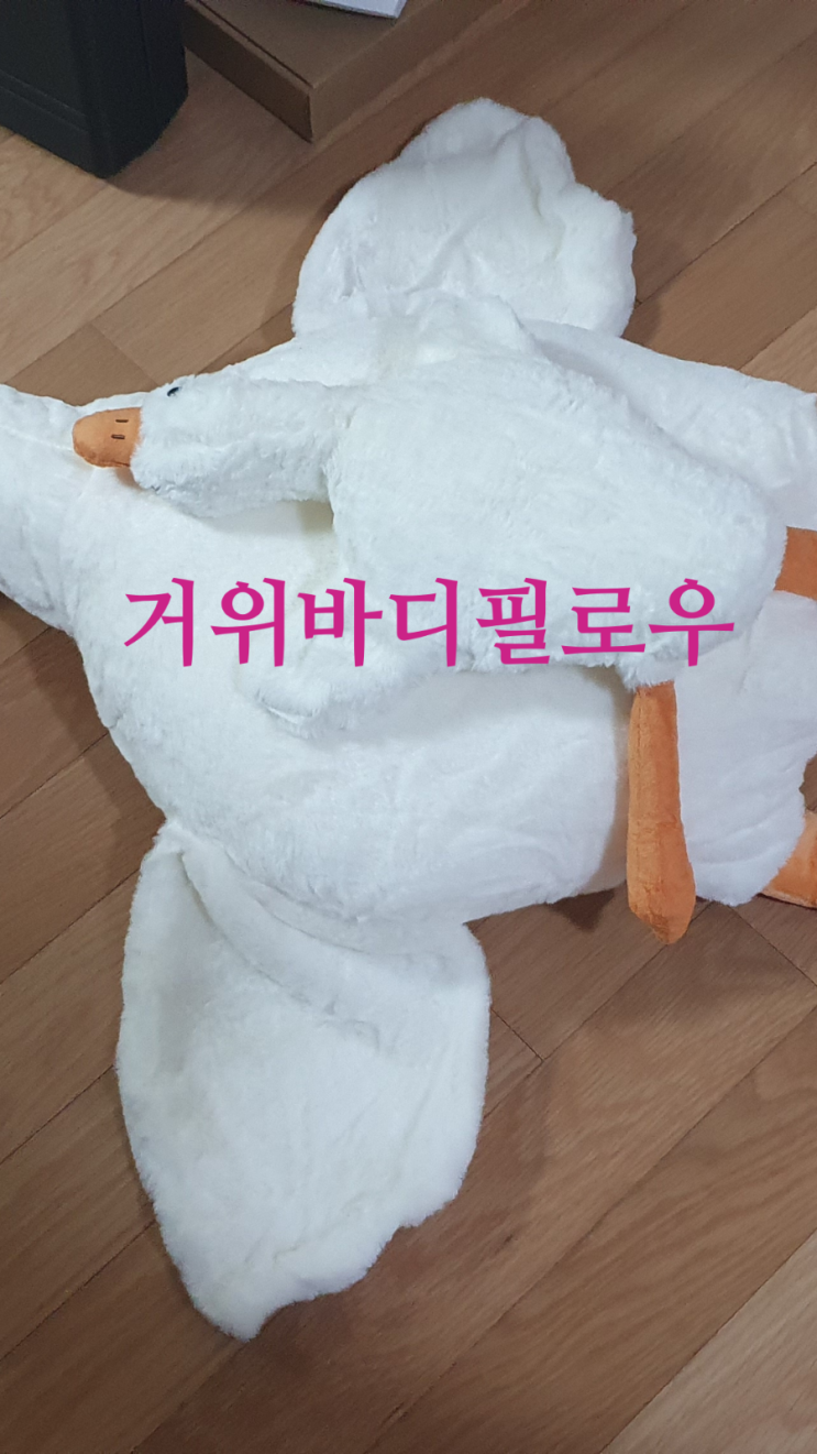 보들보들 거위바디필로우와 함께하는 행복한 꿈, 인트홈 바디필로우 추천 보들보들 거위바디필로우와 함께하는 행복한 꿈, 인트홈 바디필로우 추천