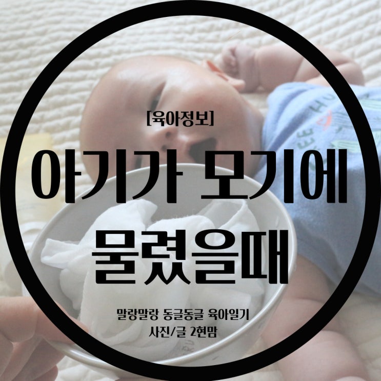  [육아정보] 아기가 모기에 물렸어요 / 모기 물렸을때 대처법 / 모기는 아기의 피를 더 좋아할까? / 아기 모기 물리지 않는 방법