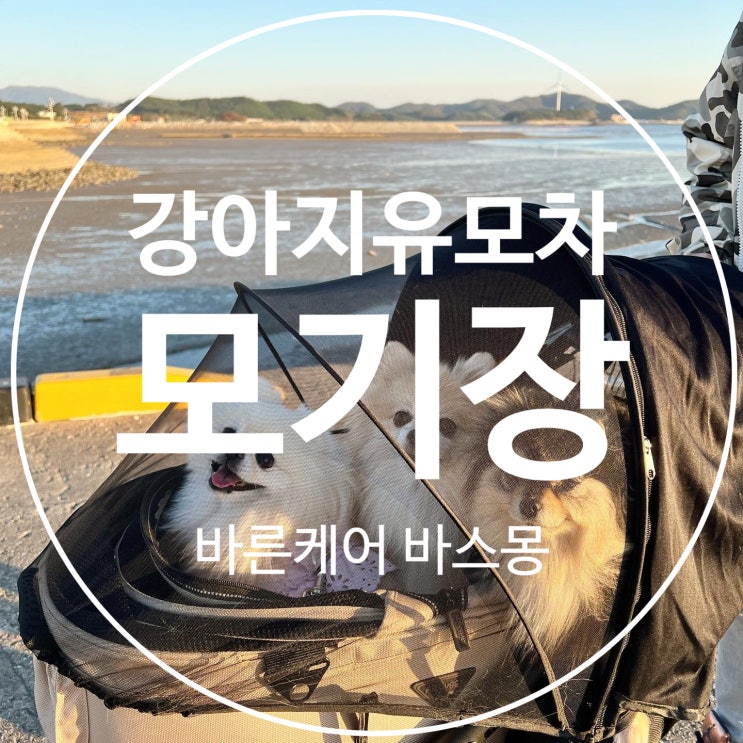  여름철 강아지 유모차 필수템 개모차 모기장