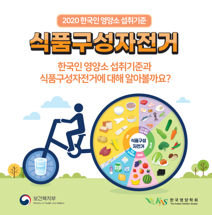 2020 한국인 영양소 섭취기준 식품구성자전거