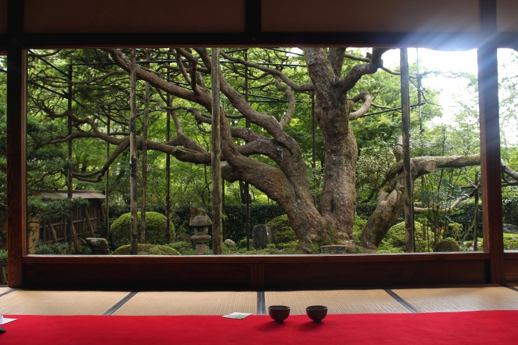 일본 교토 오하라. 호센인 액자 정원 풍경 :) 그리고 소리 없는 폭포 (오토나시노타키)