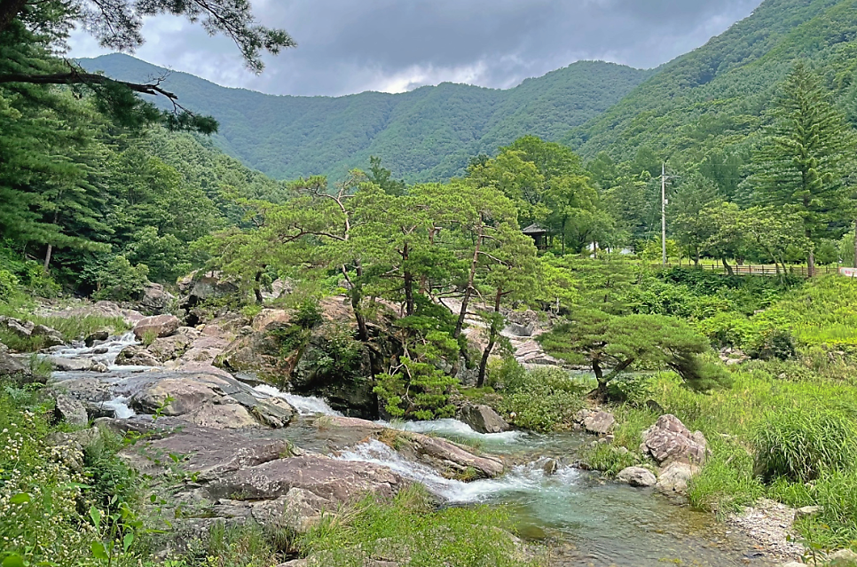 긴골 사진 5