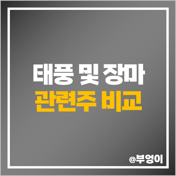 태풍 장마 관련주, 테마주 비교 : 주식 PER PBR 주가 순위 태풍 장마 관련주, 테마주 비교 : 주식 PER PBR 주가 순위