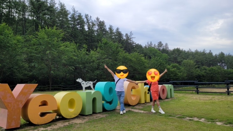  힐링하러 영천 운주산승마자연휴양림 깨끗해서 좋아요.
