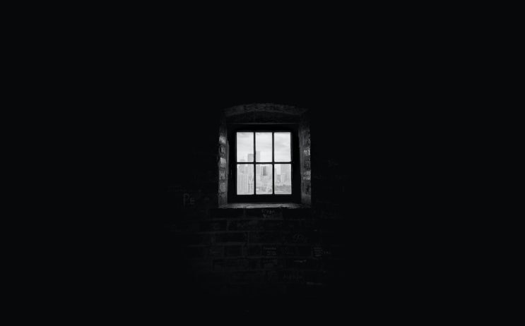  시 : 날지 않는 새 (이지영)