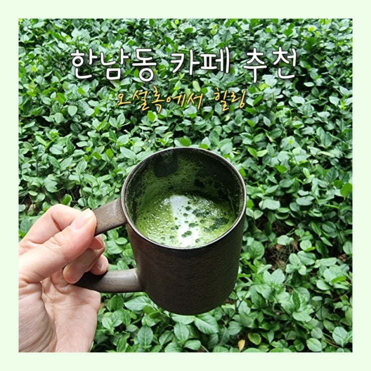  한남동 카페 오설록 티하우스 한남에서 힐링 Time