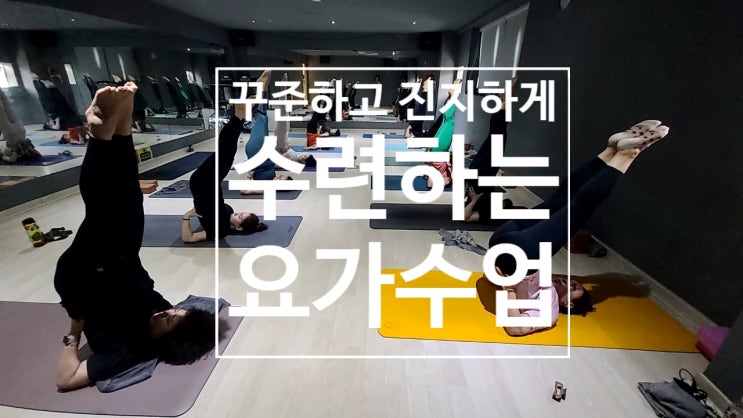  [탄현 헬스][탄현 헬스장][탄현 PT] 꾸준하고 진지하게 수련받고 계신 회원님들의 요가수업