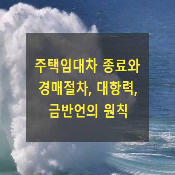  주택임대차 종료와 경매절차, 대항력, 금반언의 원칙(2000다24078)