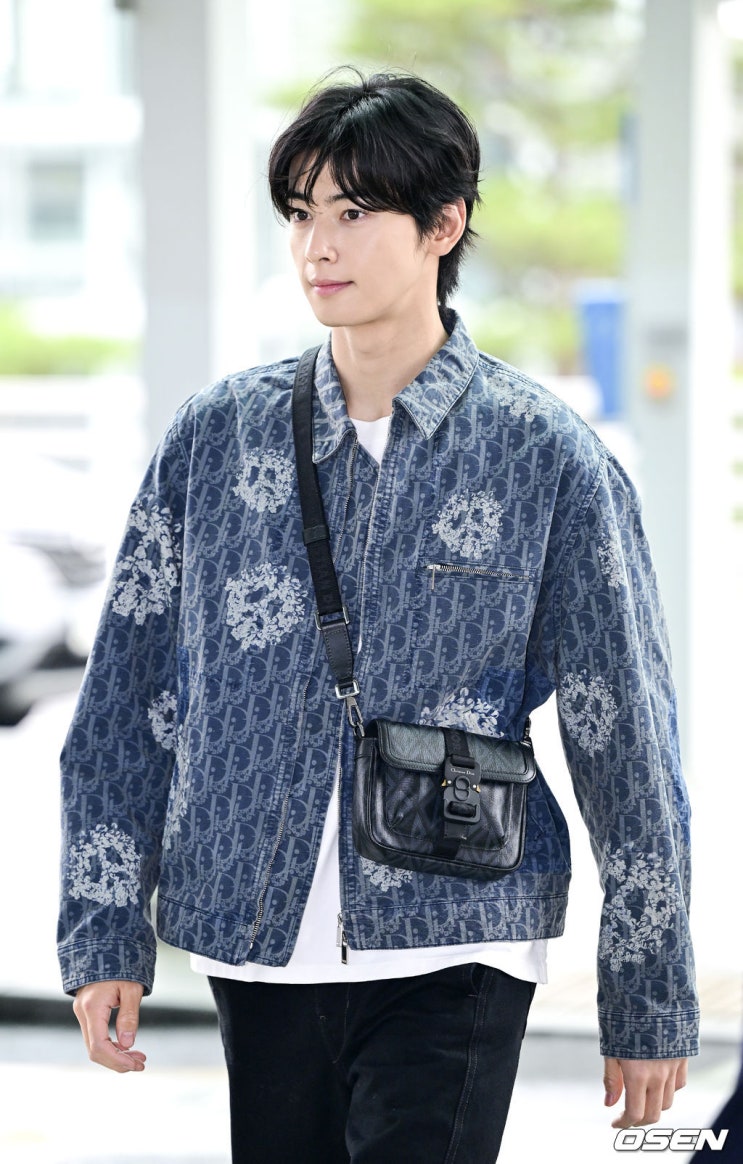 파리로 출국하는 차은우 근황사진 파리로 출국하는 차은우 근황사진