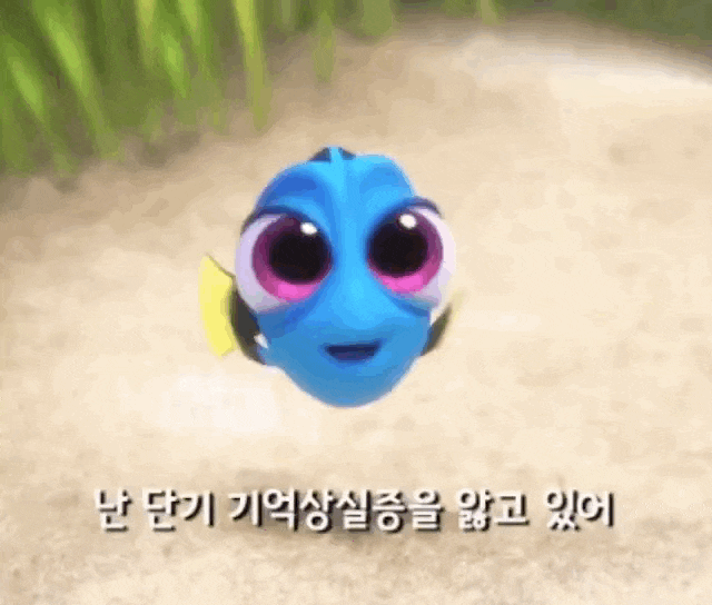  [일상] 안녕하세요 금붕어에요. (전산회계1급공부,엄마손짜글이)