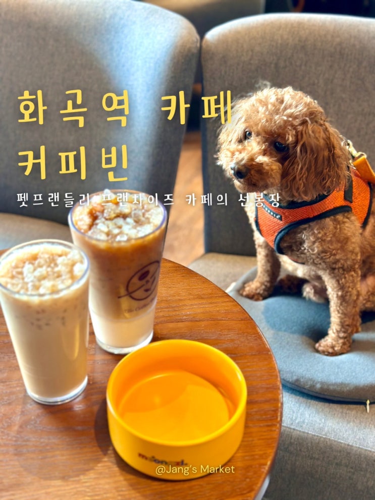  화곡역 카페 애견동반 가능 펫프렌들리 커피빈 화곡역점