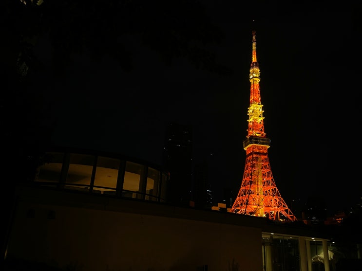일본여행 밤의 도쿄타워와 신바시 야키니쿠 무한리필