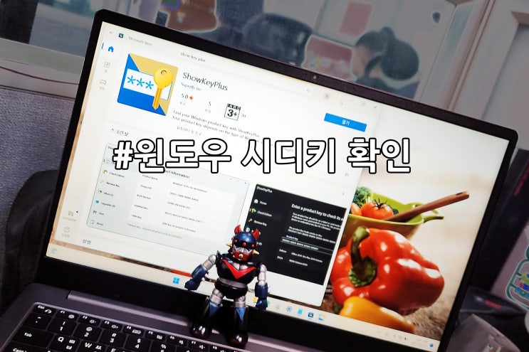 윈도우 11 정품인증 방법 cmd로 시디키 확인 삭제