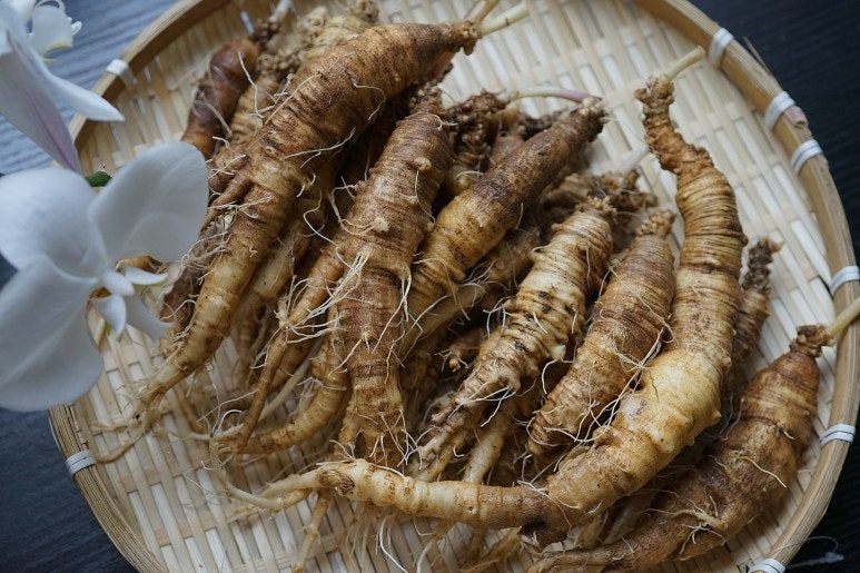 [더덕ㆍ더덕주 효능] 야생 자연산 산더덕 담금주 : 네이버 블로그