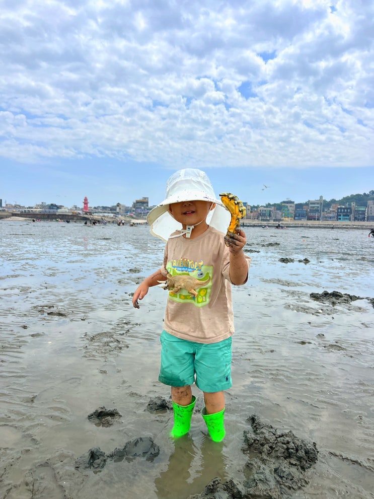  오이도어촌체험휴양마을 갯벌체험 아기랑 (주차/체험요금/조개구이&칼국수 맛집)