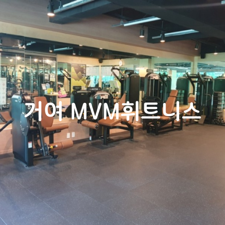  송파 거여 MVM휘트니스 헬스장 추천 PT 무제한