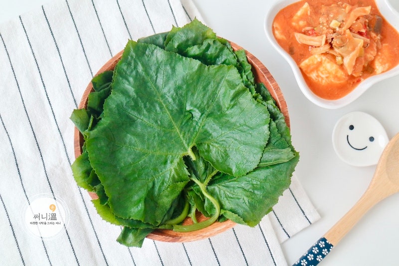 호박잎 찌는 법, 더운 여름 입맛을 돋워주는 호박잎 찌는 법 두가지 전자렌지&찜기로 찌는 법